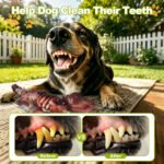 Durable Chew Toys For Medium- To Large-sized Dogs