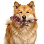 Durable Chew Toys For Medium- To Large-sized Dogs