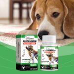 Dog Glucosamine Hip Joint Chews, Chondroitin Joint Support Supplements For All Breeds, Chicken Flavor Soft Chews To Relieve Joint Pain & Boost Mobility