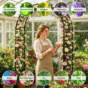 2Pcs Or 1Pcs Options 7.87Ft H X 4.59Ft W Adjustable Metal Garden Arches DIY Outdoor Trellis For Climbing Plants Wedding Arch Decoration Iron Arbor For Backyard Garden Entrance