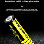 High capacity lithium battery