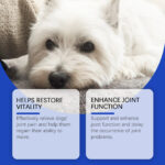 Dog Joint Relief Liquid Supplement Drops, Hip & Joint Care Support For All Breeds Dogs, Relieve Joint Pain, Reduce Inflammation, Restore Cartilage, Improve Mobility, 60ml