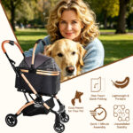 Pet Stroller for Dogs and Cats, 2-in-1 Detachable Foldable 4 Wheels Pet Stroller, Quick One-Hand Fold, Storage Basket, Detachable Carry Basket with Sun Canopy(Black+Gold)