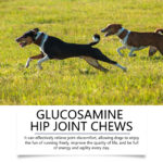 Dog Glucosamine Hip Joint Chews, Chondroitin Joint Support Supplements For All Breeds, Chicken Flavor Soft Chews To Relieve Joint Pain & Boost Mobility