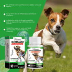 Dog Glucosamine Hip Joint Chews, Chondroitin Joint Support Supplements For All Breeds, Chicken Flavor Soft Chews To Relieve Joint Pain & Boost Mobility