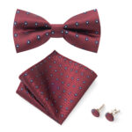 Mens Striped Jacquard Bow Tie Set