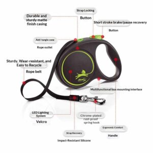 Normal Specification Of Leash For Banded Dogs