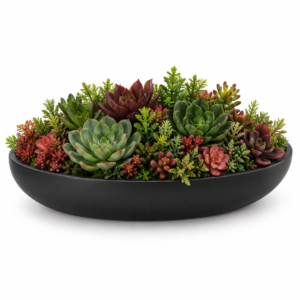 Artificial Mixed Succulent Arrangement in Black Oval Planter  … walm