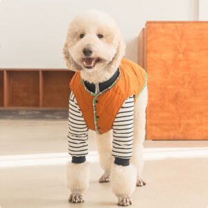 Thermal Protection Labrador Golden Retriever Samoyed Premium Pet Clothing